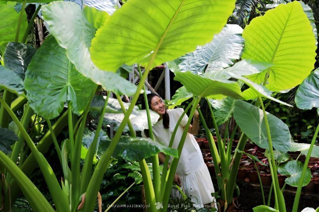 Rajapruek Place Chiang Mai Exterior foto